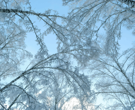 Why You're Always Cold — And How to Fix It This Winter!