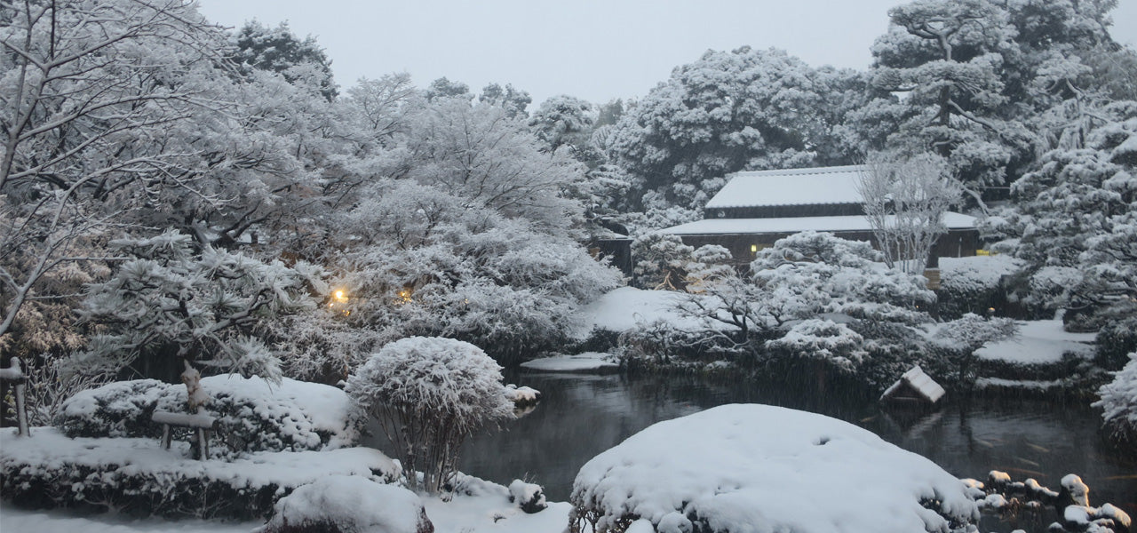 Snowy scene in Tokyo