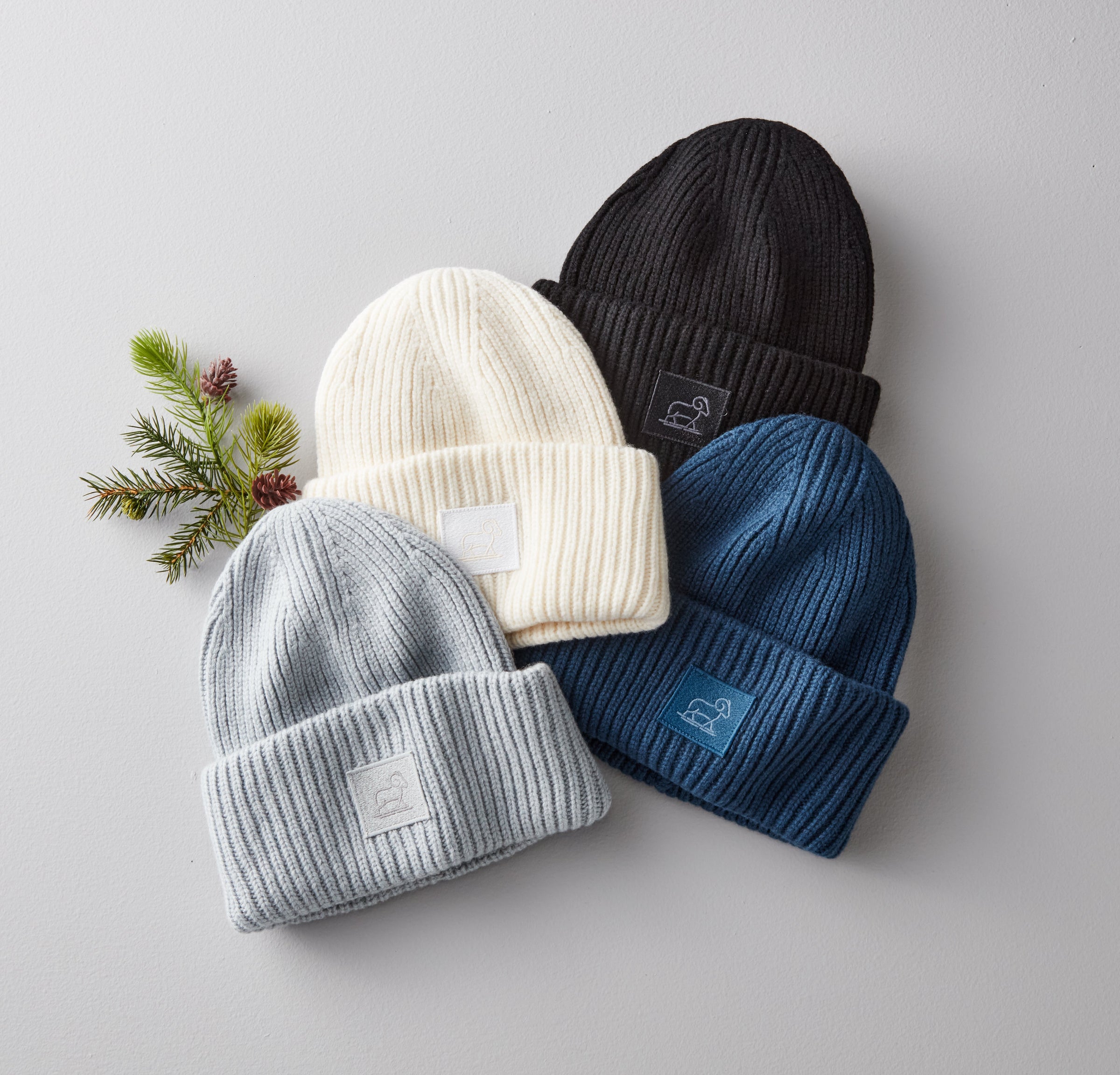 Four ribbed knit beanies in black, cream, gray, and blue are arranged in a fan shape on a light surface, next to a small pine branch with red berries.