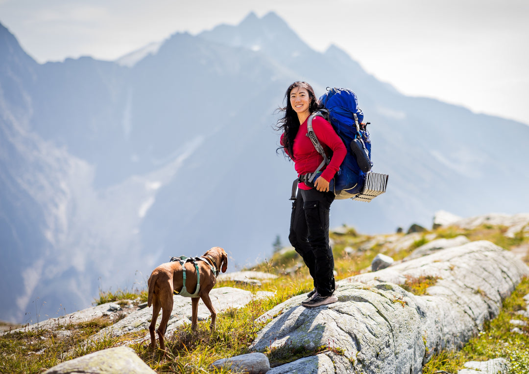 Women's Kendall Headband Ear Warmers - Merino Wool Ear Warmers – Woolx