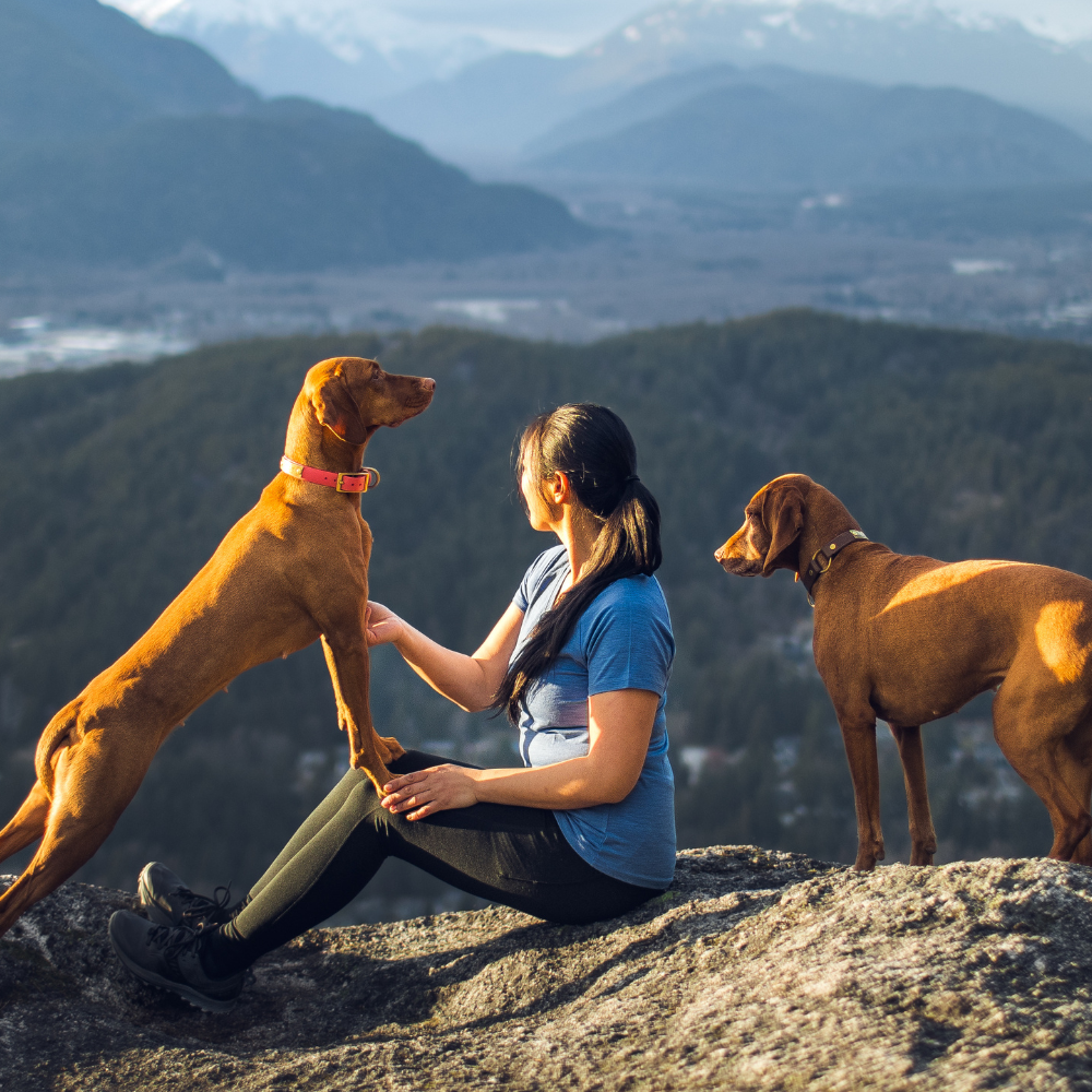 Woman sitting on a rock with two dogs, overlooking a mountainous landscape.