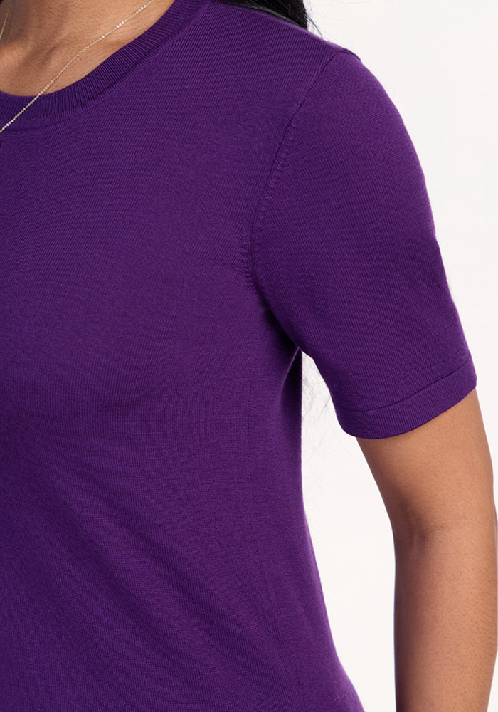 A close-up shows the upper torso and part of one arm of a person wearing the Woolx Anna Crew Sweater in Plum Crush, set against a plain light background.